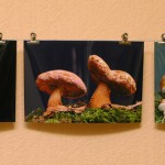 Wandbilder früher und heute